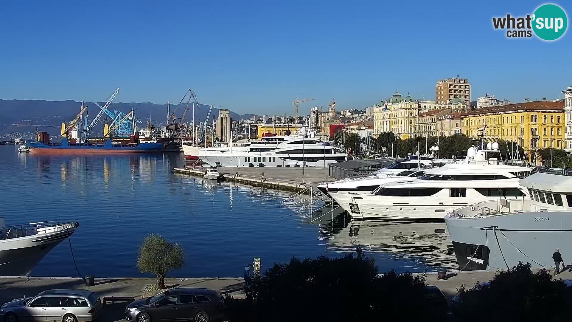 The Riva and Marina in Rijeka – Live Webcam Croatia