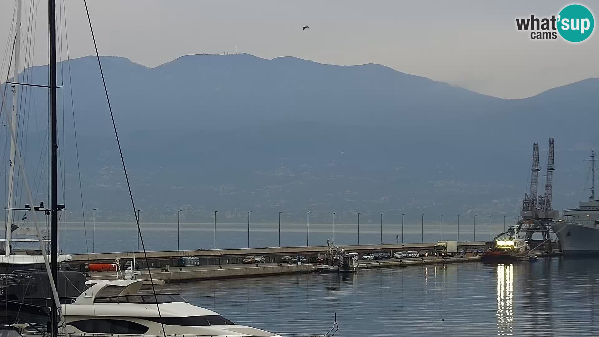 La Riva et Marina à Rijeka – Live Webcam Croatie