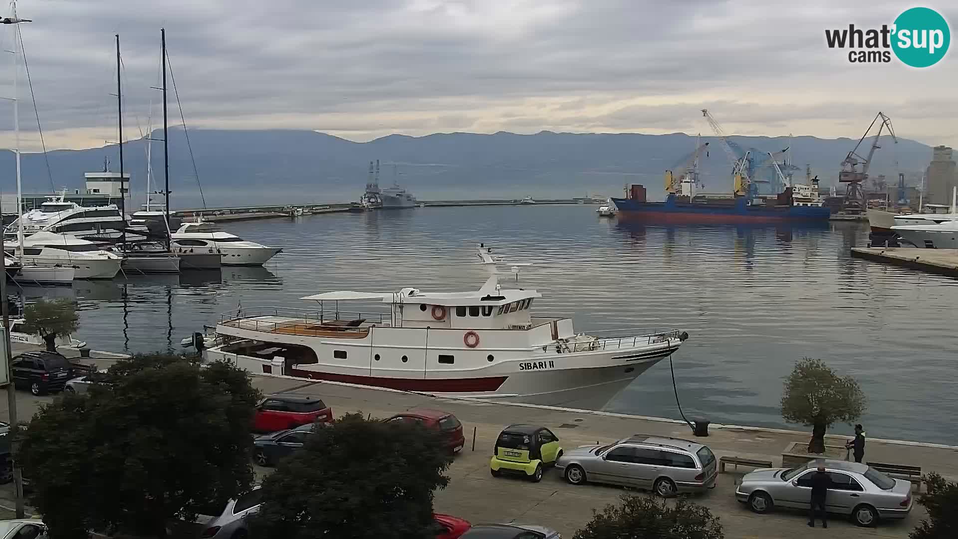 Riva i Marina u Rijeci – Web kamera uživo u Hrvatskoj
