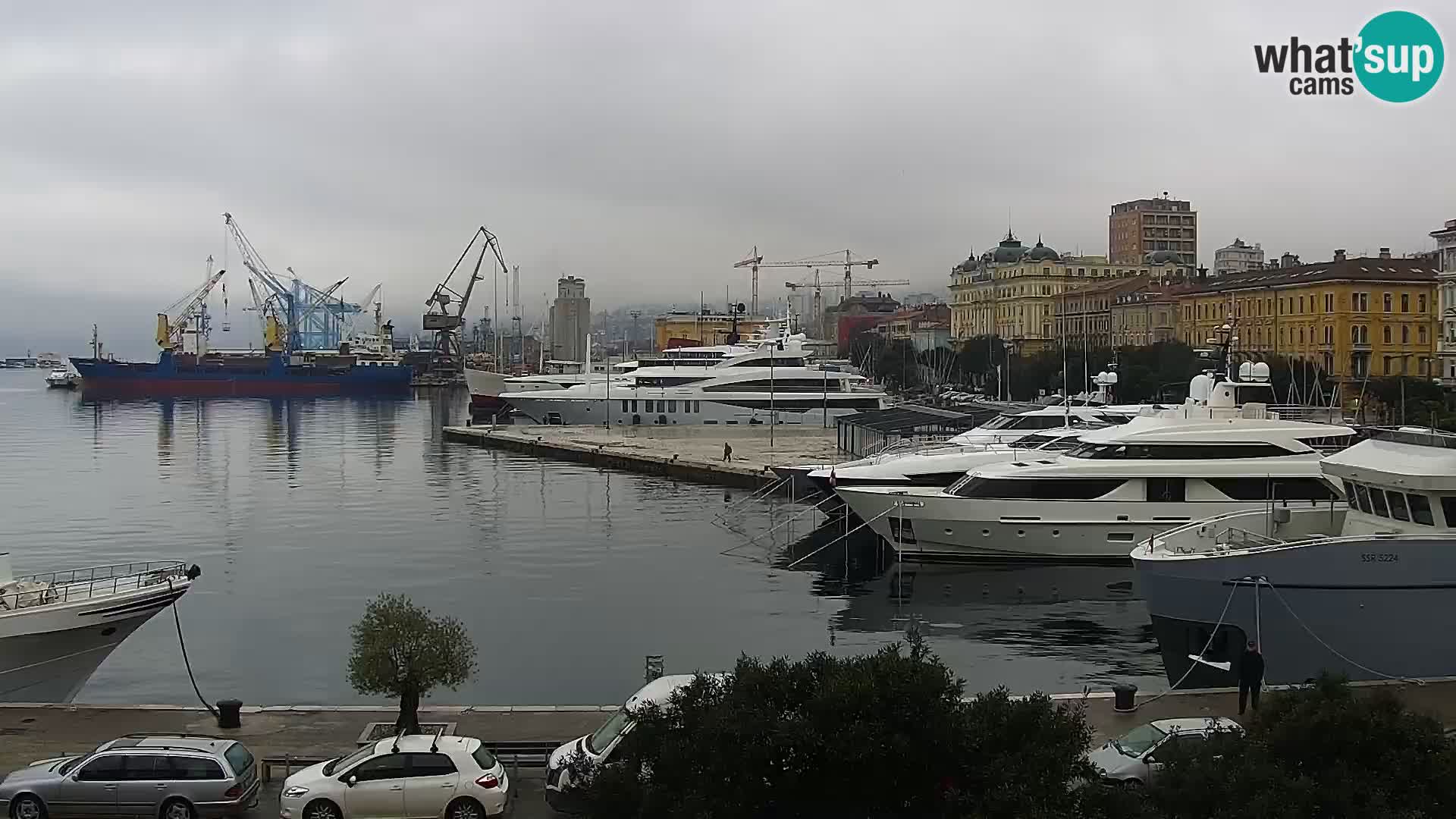 Riva i Marina u Rijeci – Web kamera uživo u Hrvatskoj