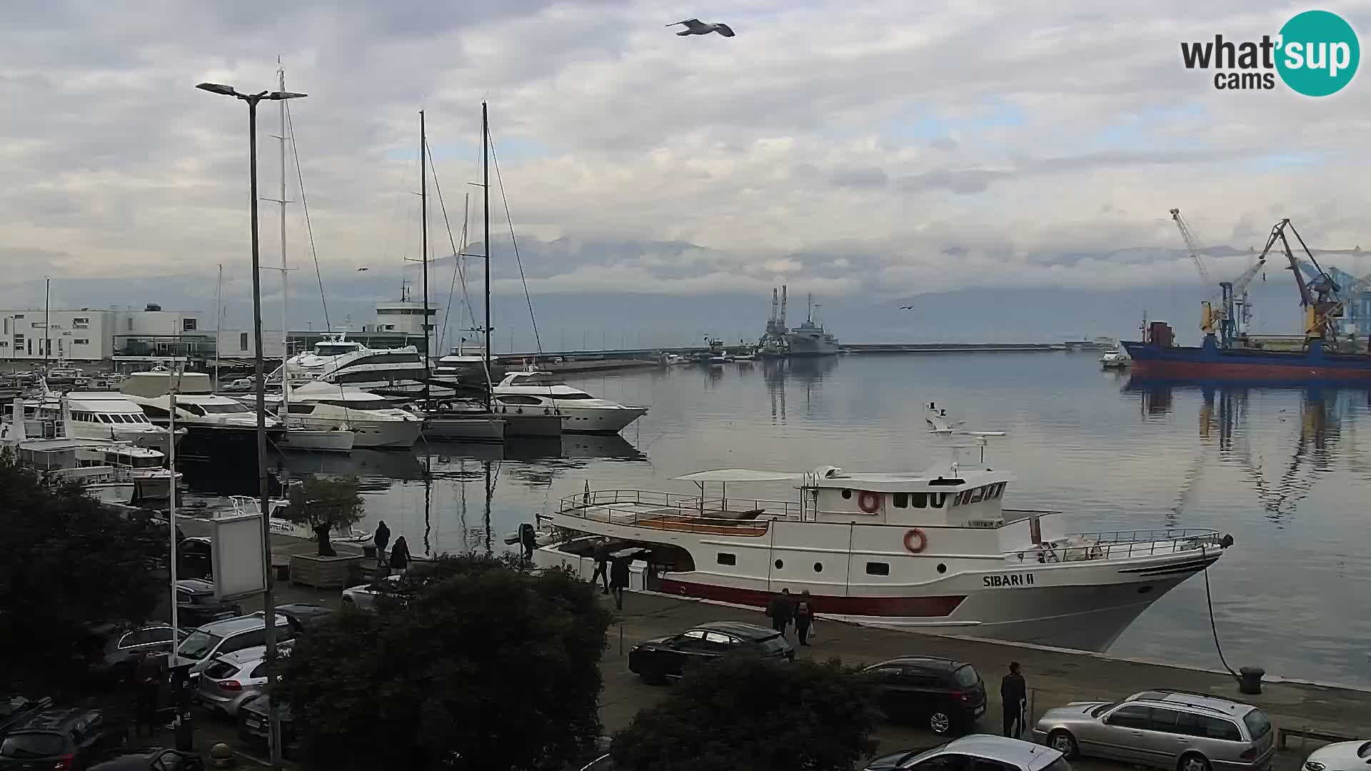 Die Riva und Marina in Rijeka – Live Webcam Kroatien