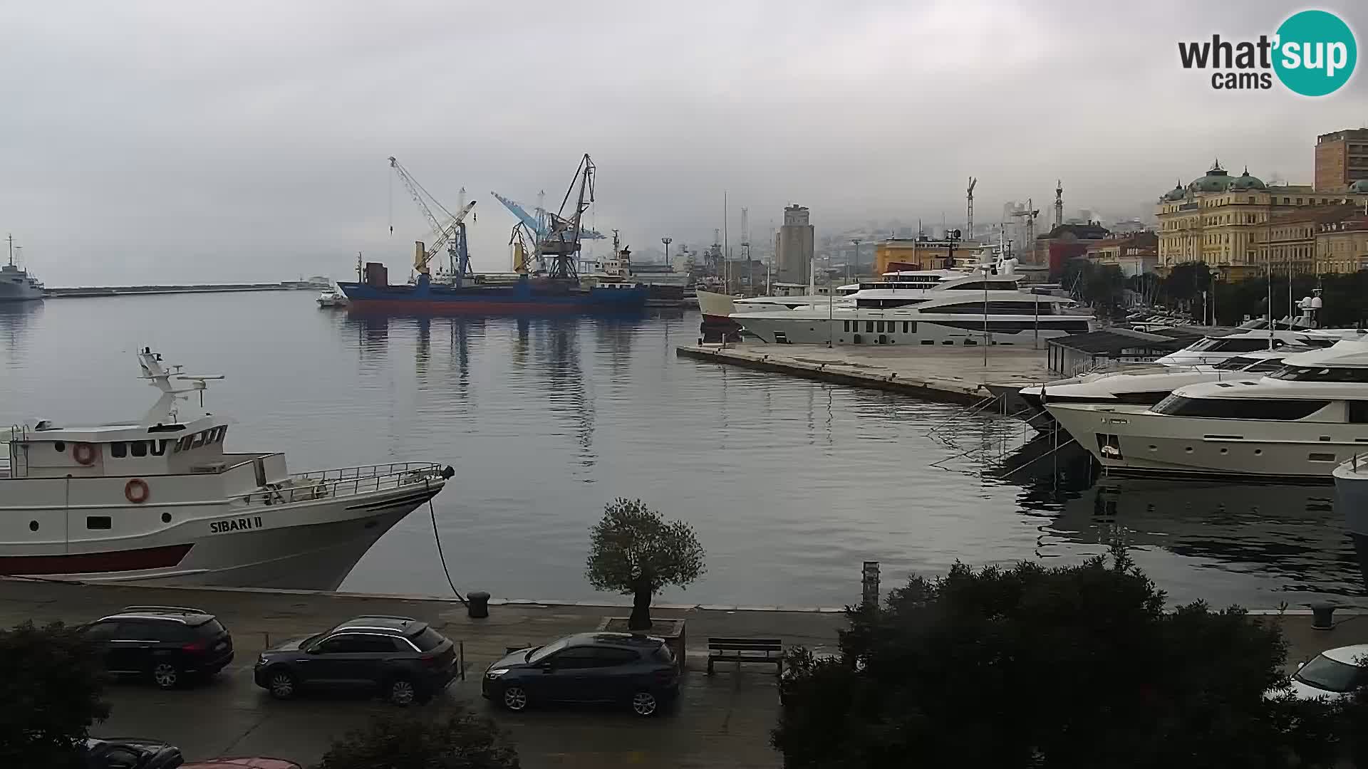 La Riva e la Marina a Rijeka (Fiume) – Live Webcam Croazia