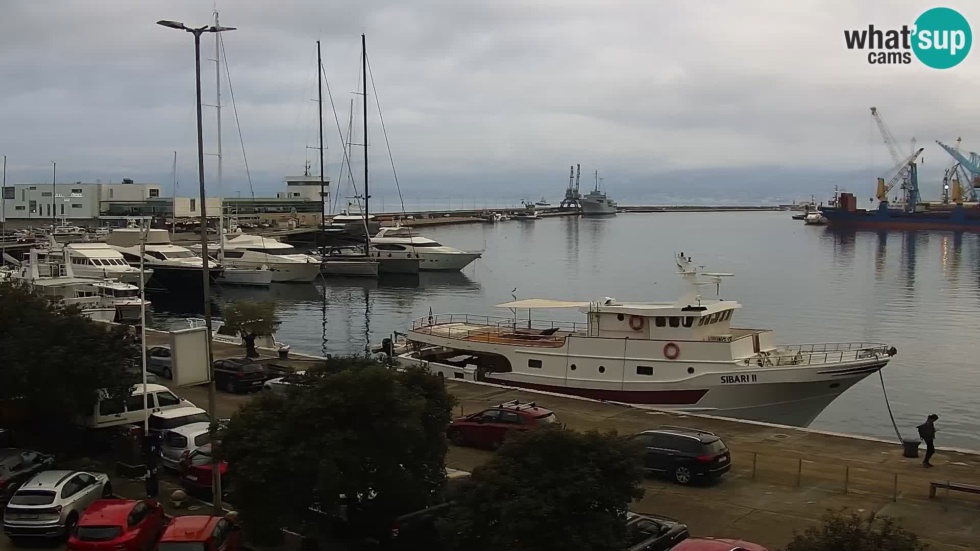 Riva i Marina u Rijeci – Web kamera uživo u Hrvatskoj