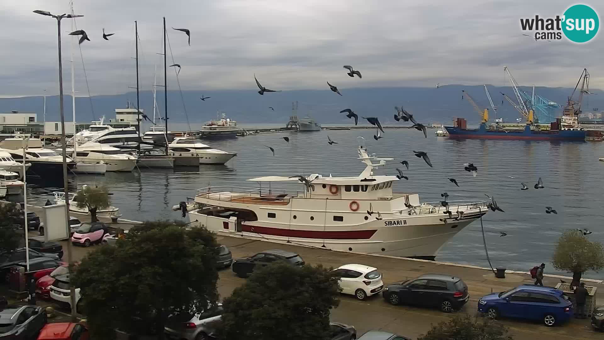 The Riva and Marina in Rijeka  – Live Webcam Croatia