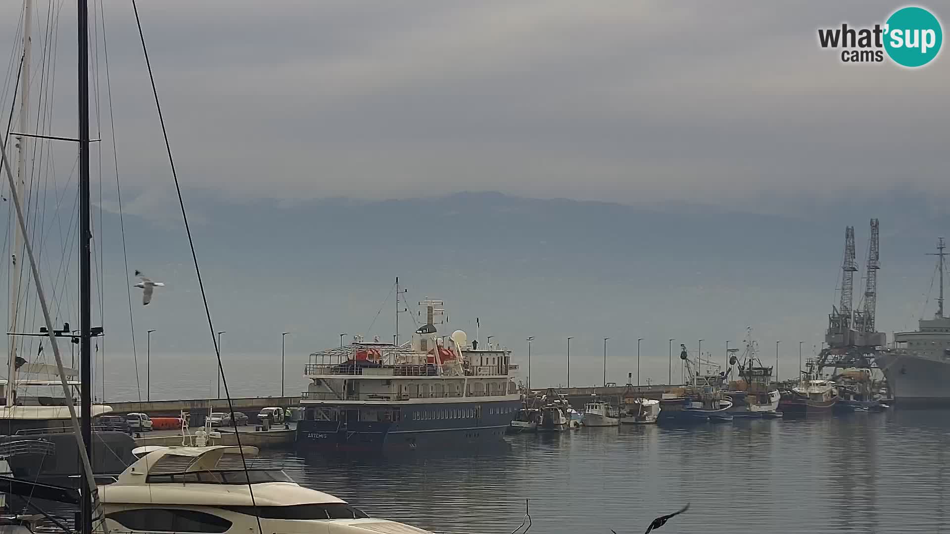 La Riva e la Marina a Rijeka (Fiume) – Live Webcam Croazia