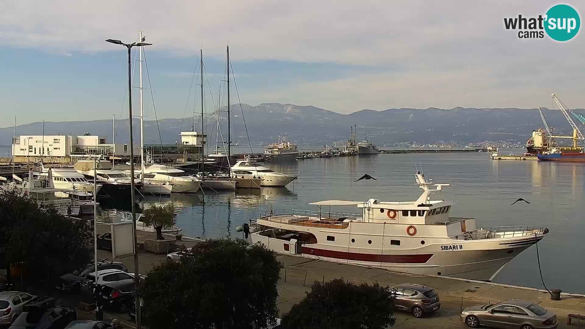 La Riva e la Marina a Rijeka (Fiume) – Live Webcam Croazia