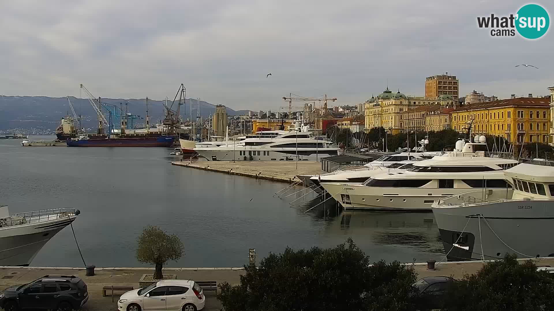 The Riva and Marina in Rijeka  – Live Webcam Croatia