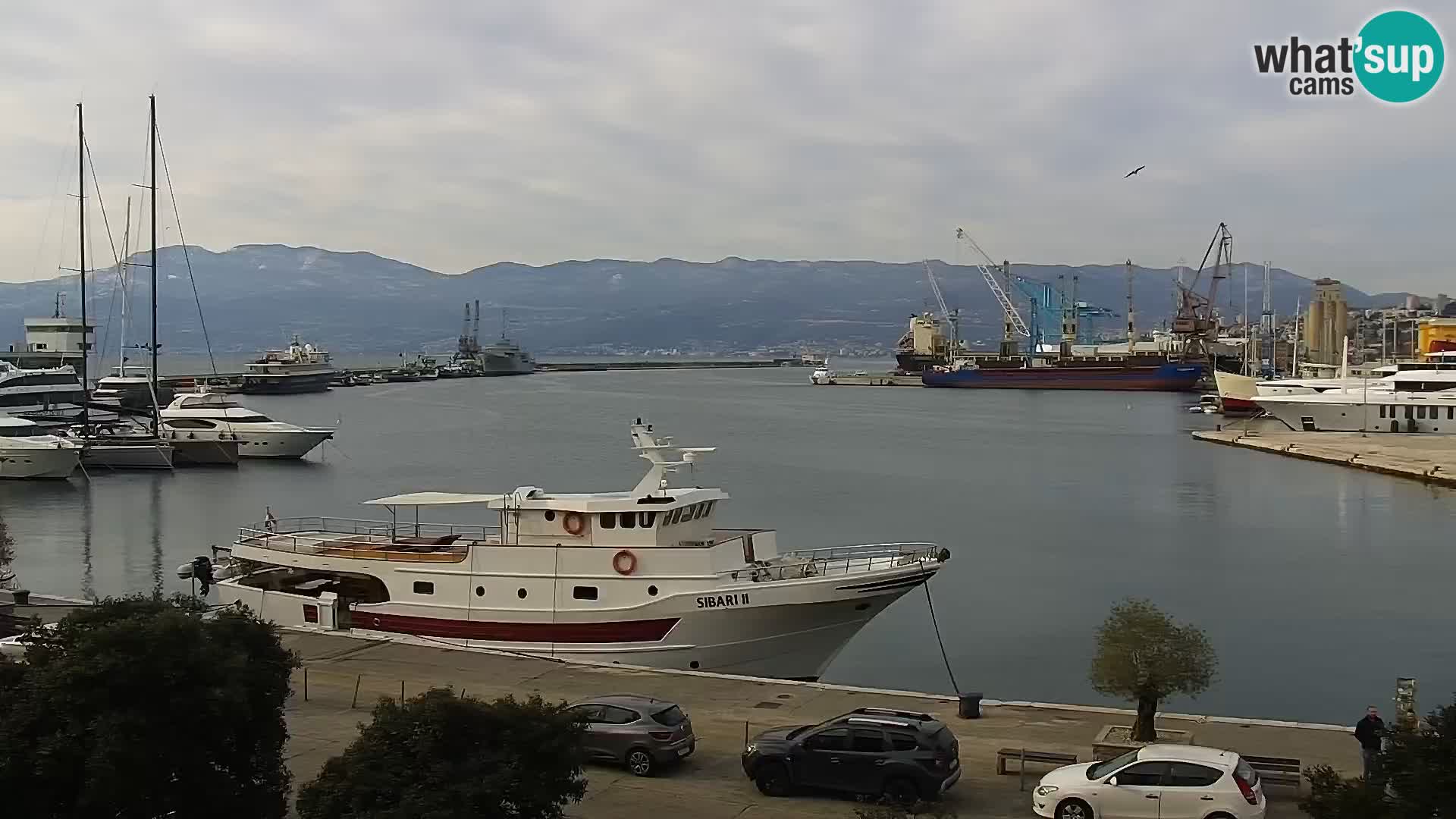 The Riva and Marina in Rijeka – Live Webcam Croatia