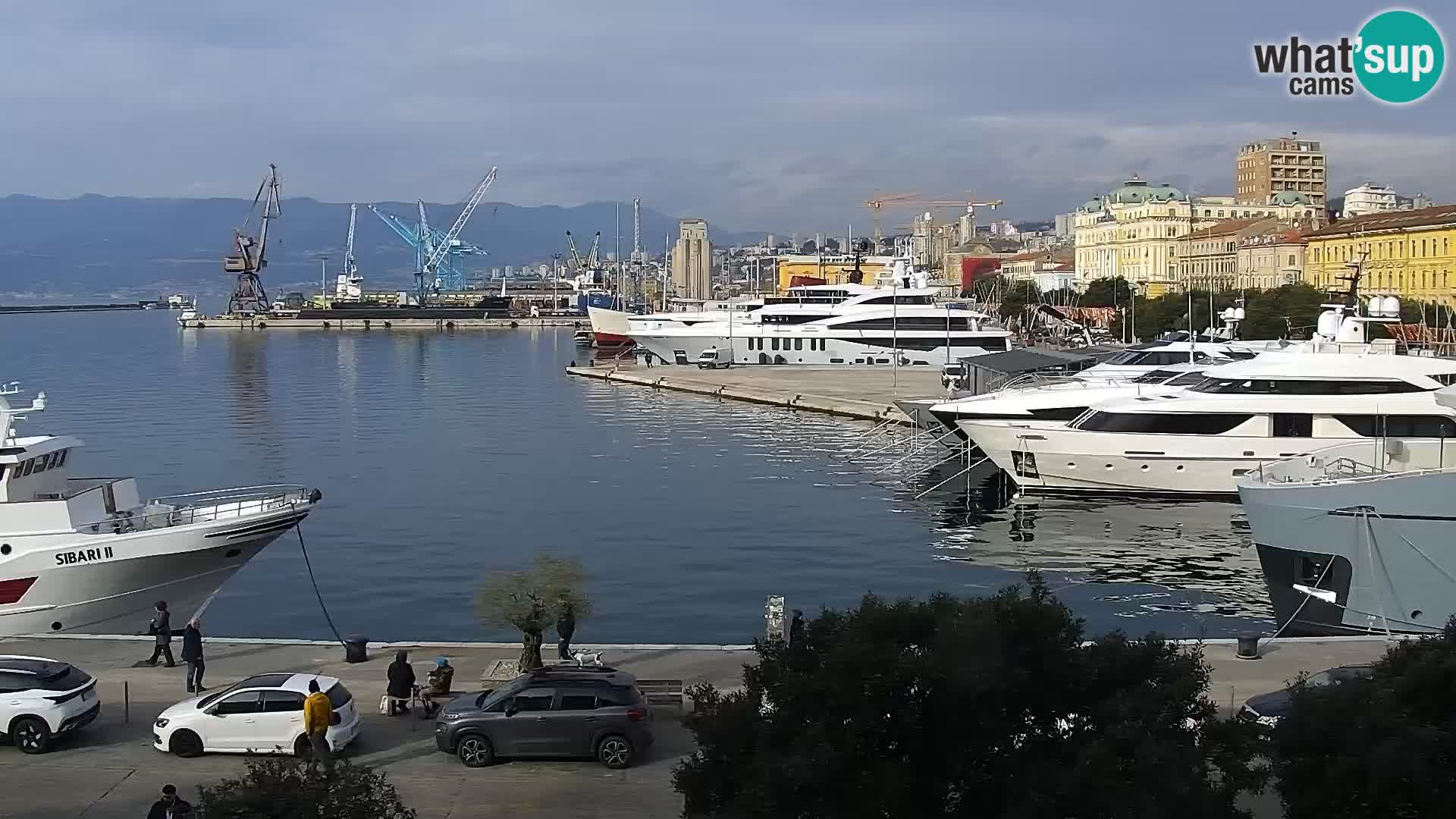 La Riva et Marina à Rijeka – Live Webcam Croatie