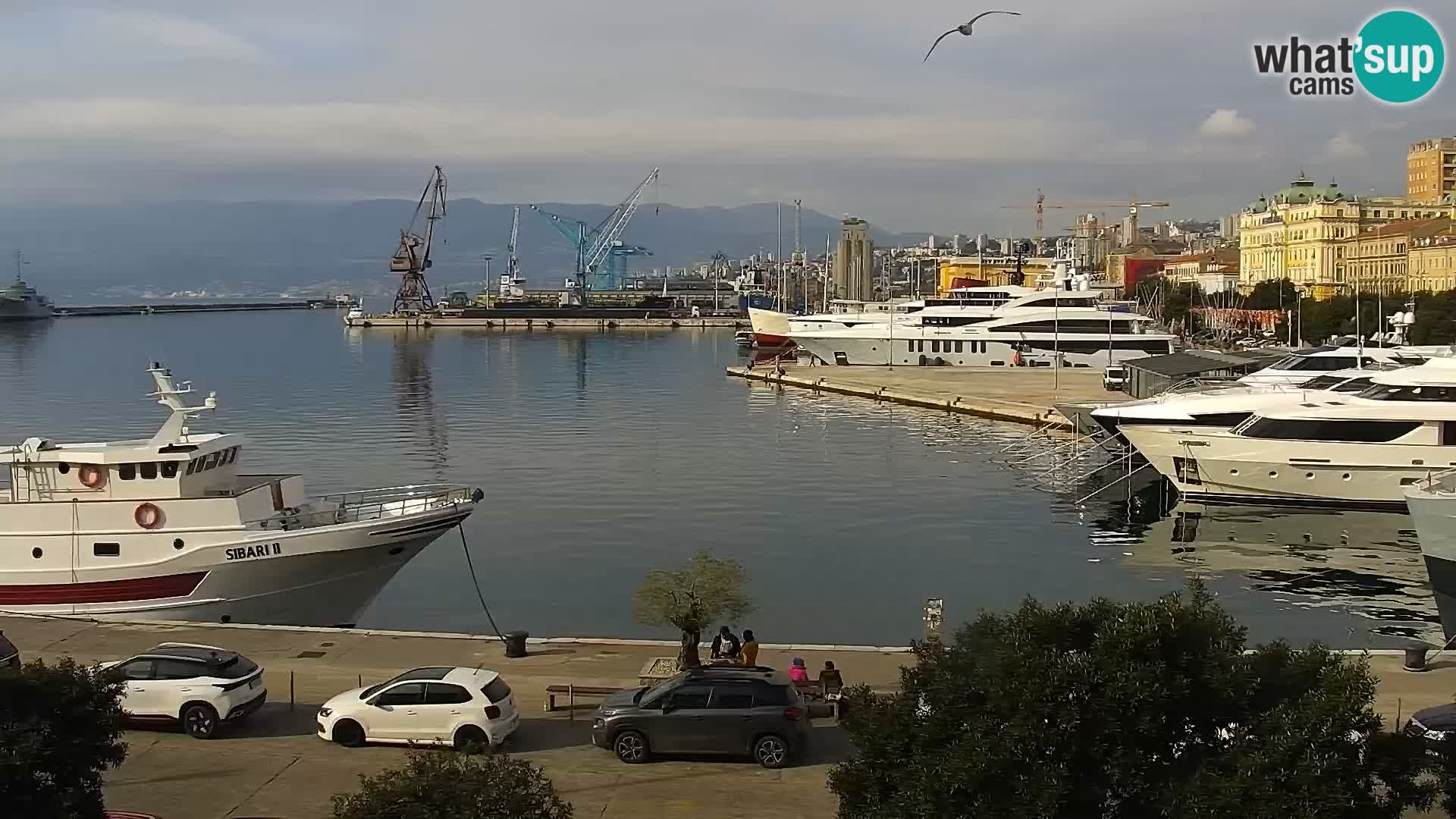 La Riva y Marina en Rijeka – Webcam en vivo Croacia