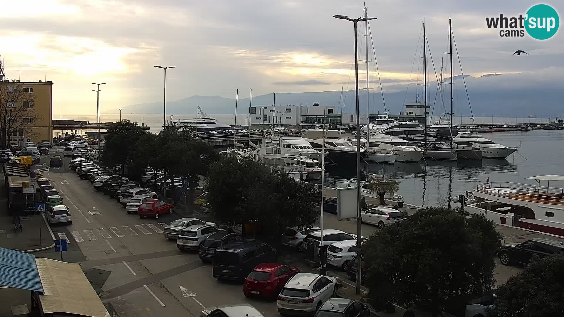 Riva i Marina u Rijeci – Web kamera uživo u Hrvatskoj