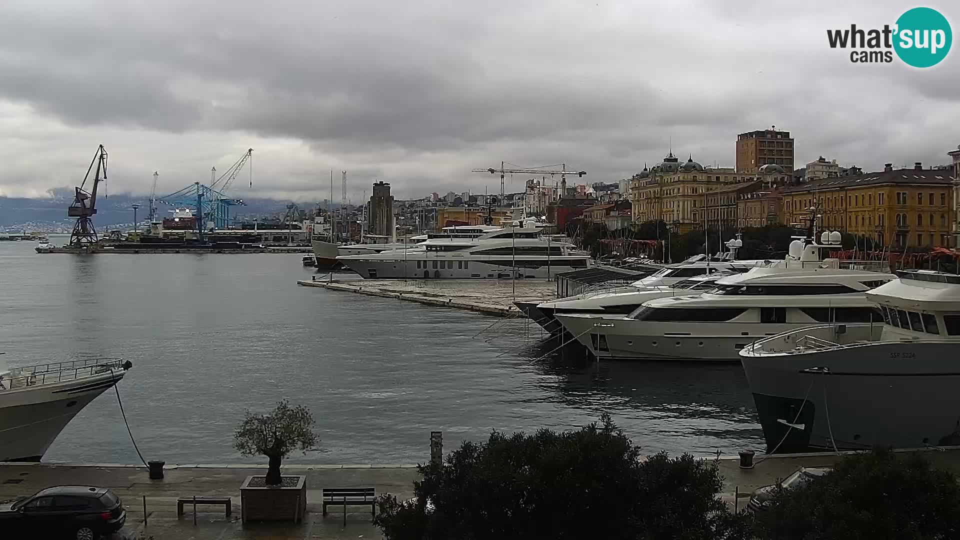 Die Riva und Marina in Rijeka – Live Webcam Kroatien