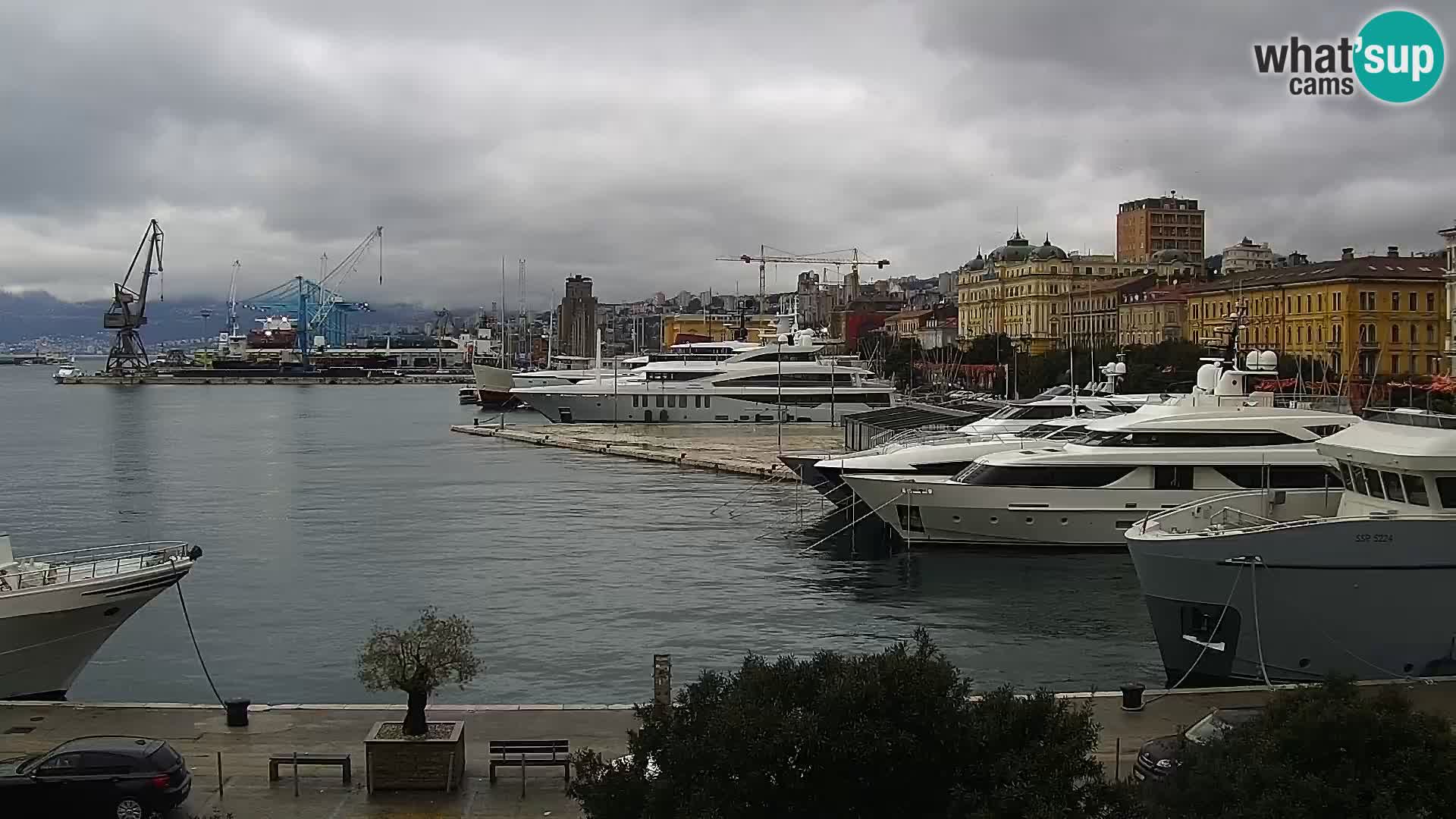 Riva in Marina v Reki – Spletna kamera v živo Hrvaška