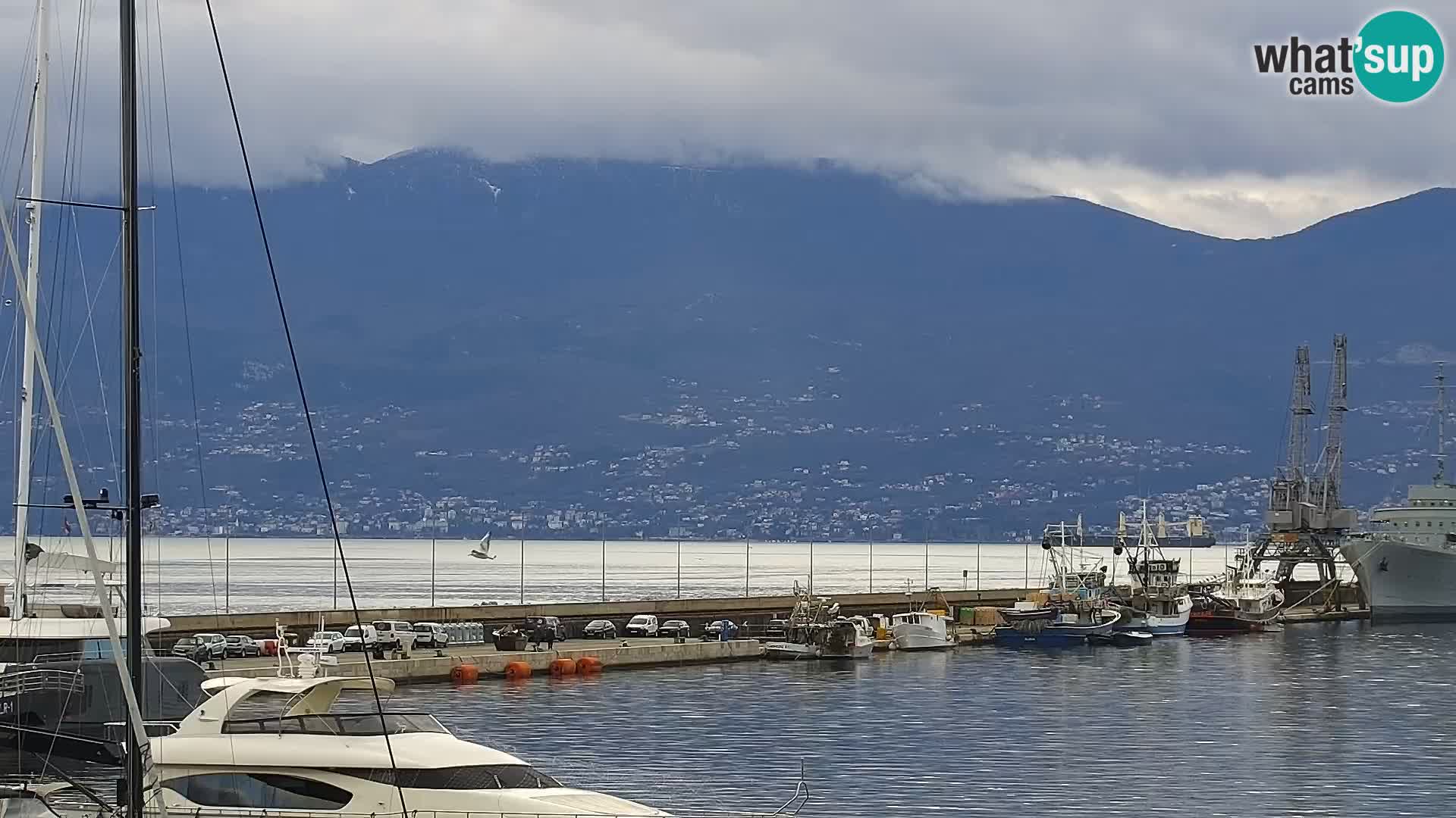 The Riva and Marina in Rijeka  – Live Webcam Croatia