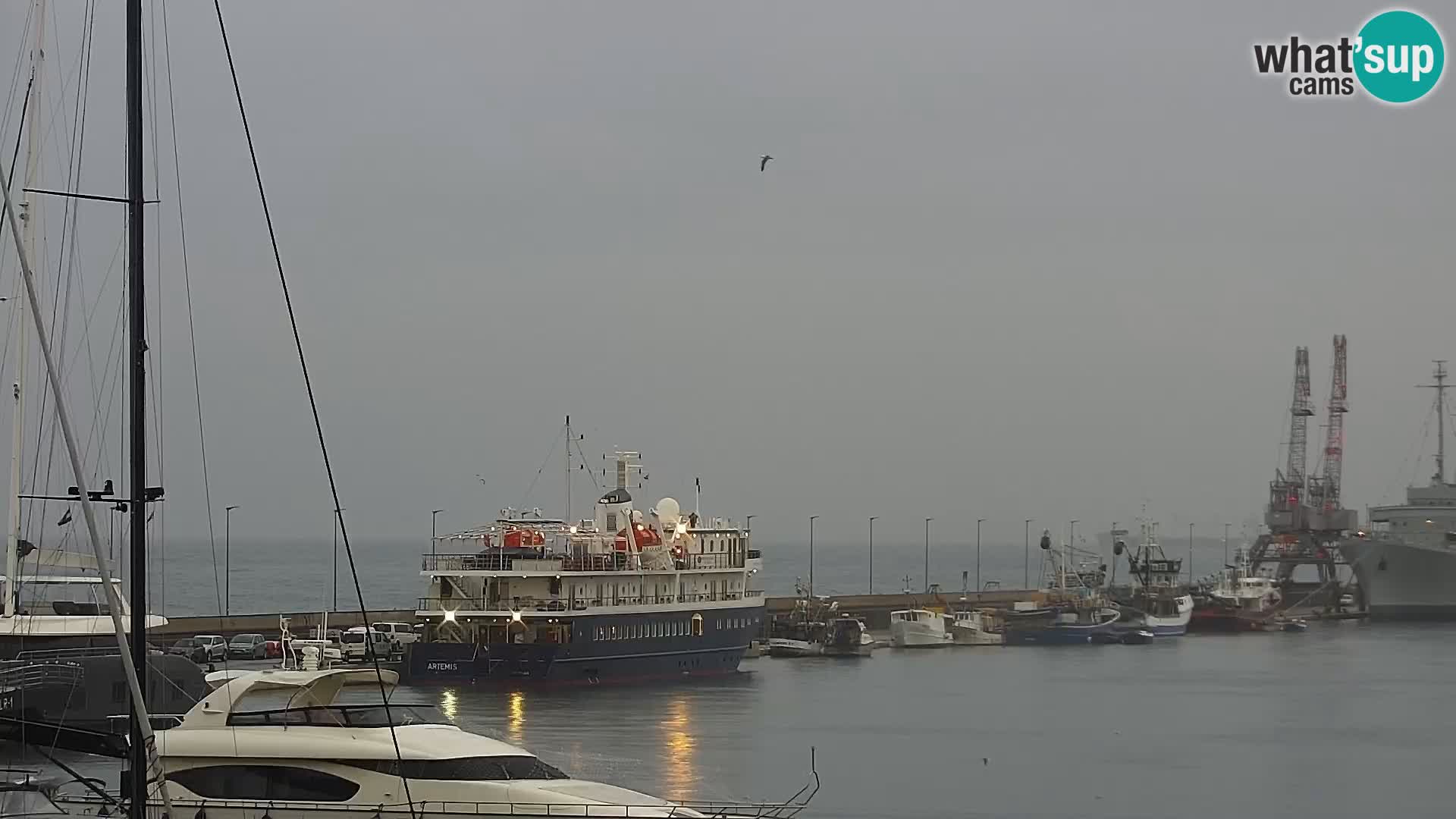 La Riva y Marina en Rijeka – Webcam en vivo Croacia