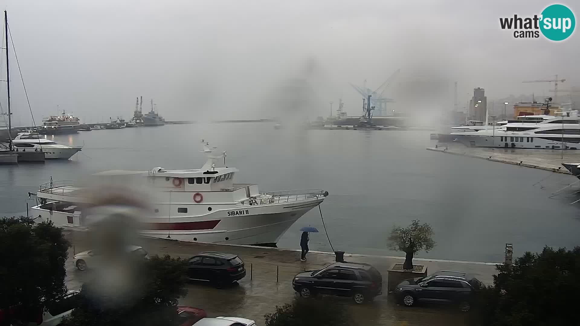 Riva i Marina u Rijeci – Web kamera uživo u Hrvatskoj