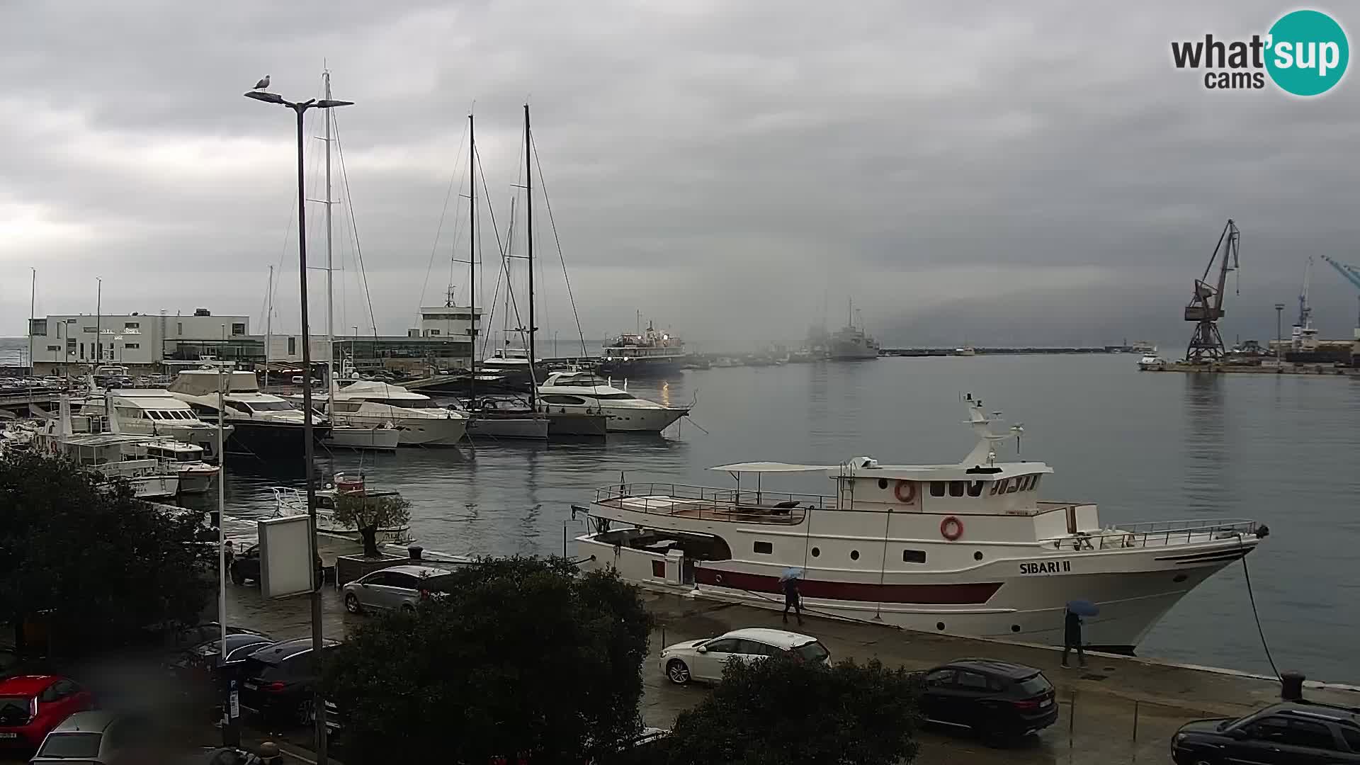 The Riva and Marina in Rijeka  – Live Webcam Croatia