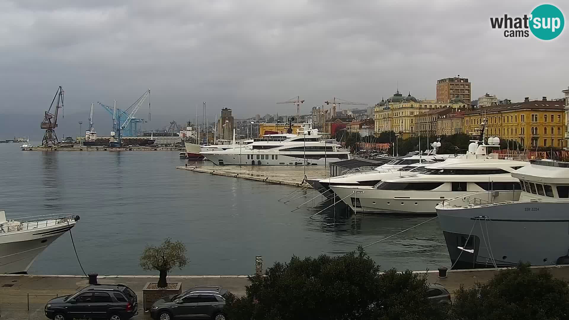 Riva i Marina u Rijeci – Web kamera uživo u Hrvatskoj
