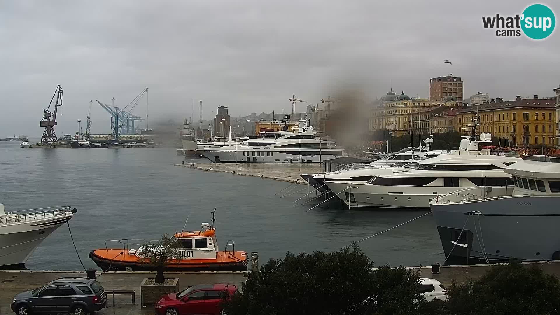 La Riva e la Marina a Rijeka (Fiume) – Live Webcam Croazia