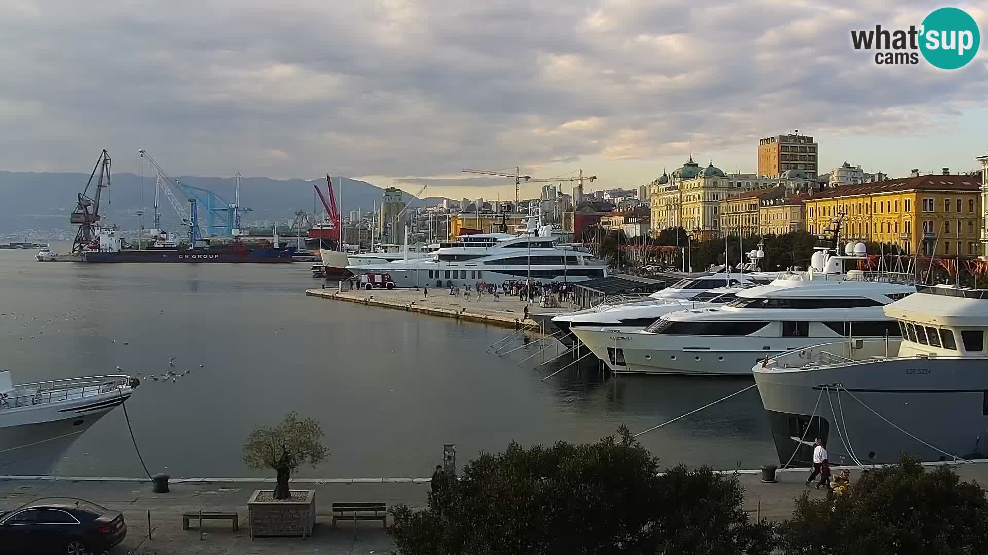 The Riva and Marina in Rijeka – Live Webcam Croatia