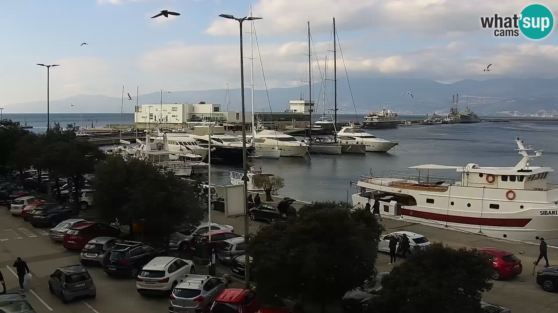 La Riva y Marina en Rijeka – Webcam en vivo Croacia