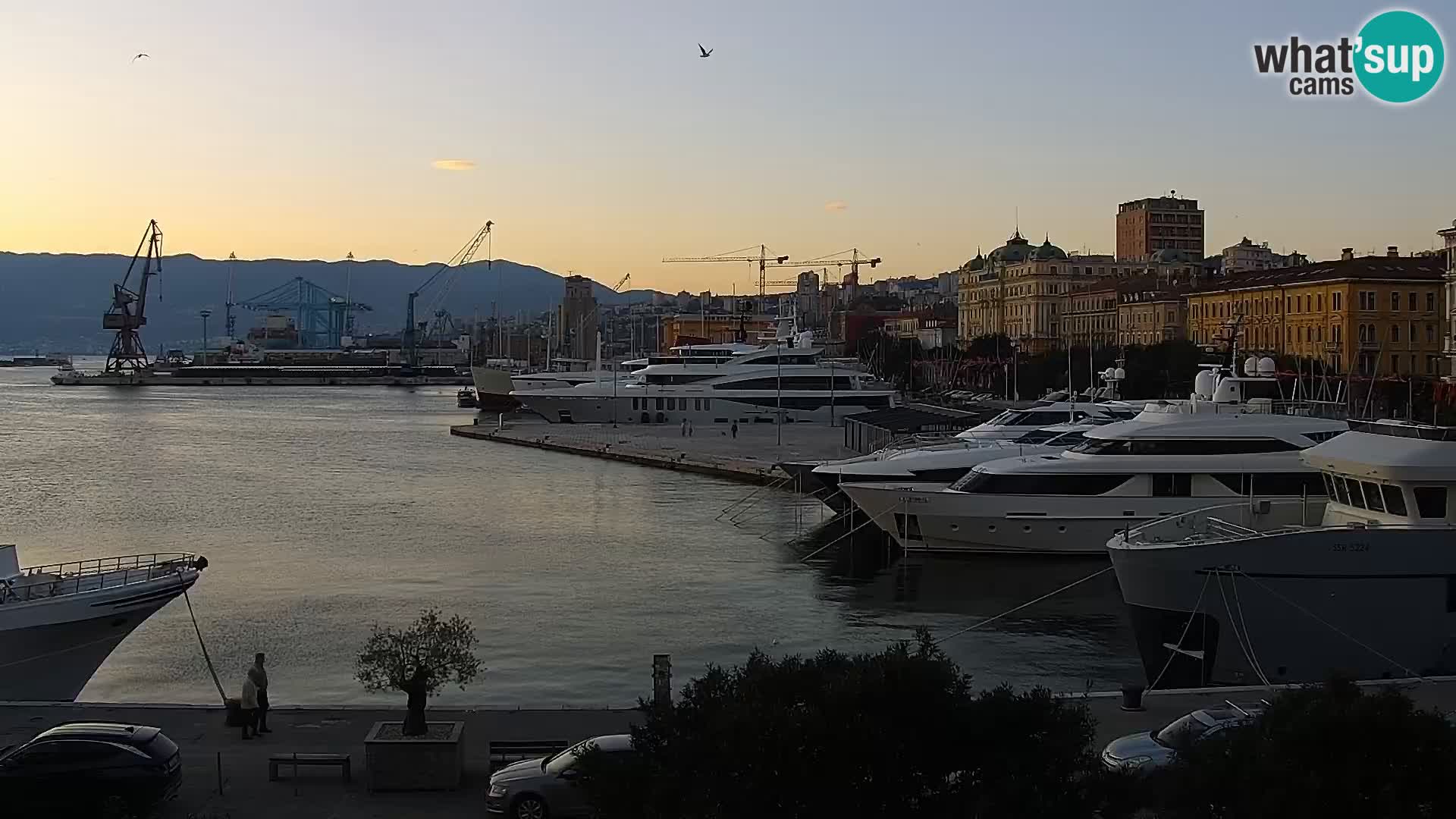 Riva i Marina u Rijeci – Web kamera uživo u Hrvatskoj