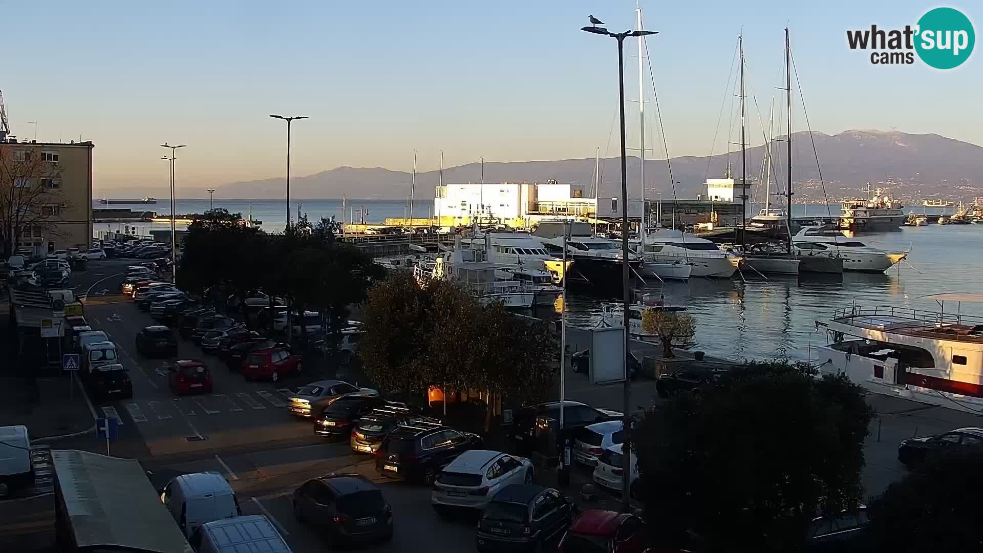 The Riva and Marina in Rijeka  – Live Webcam Croatia