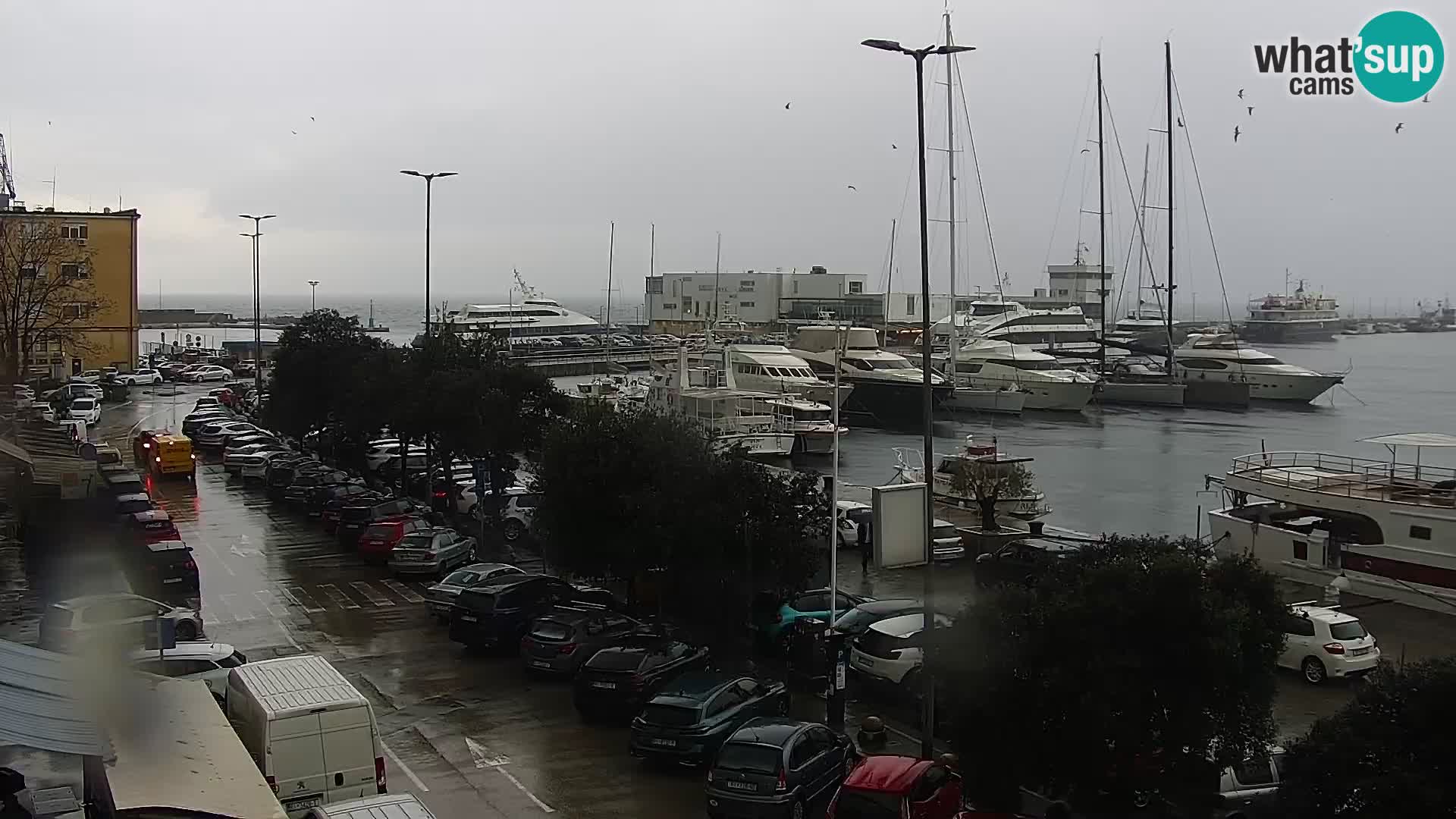 Riva in Marina v Reki – Spletna kamera v živo Hrvaška