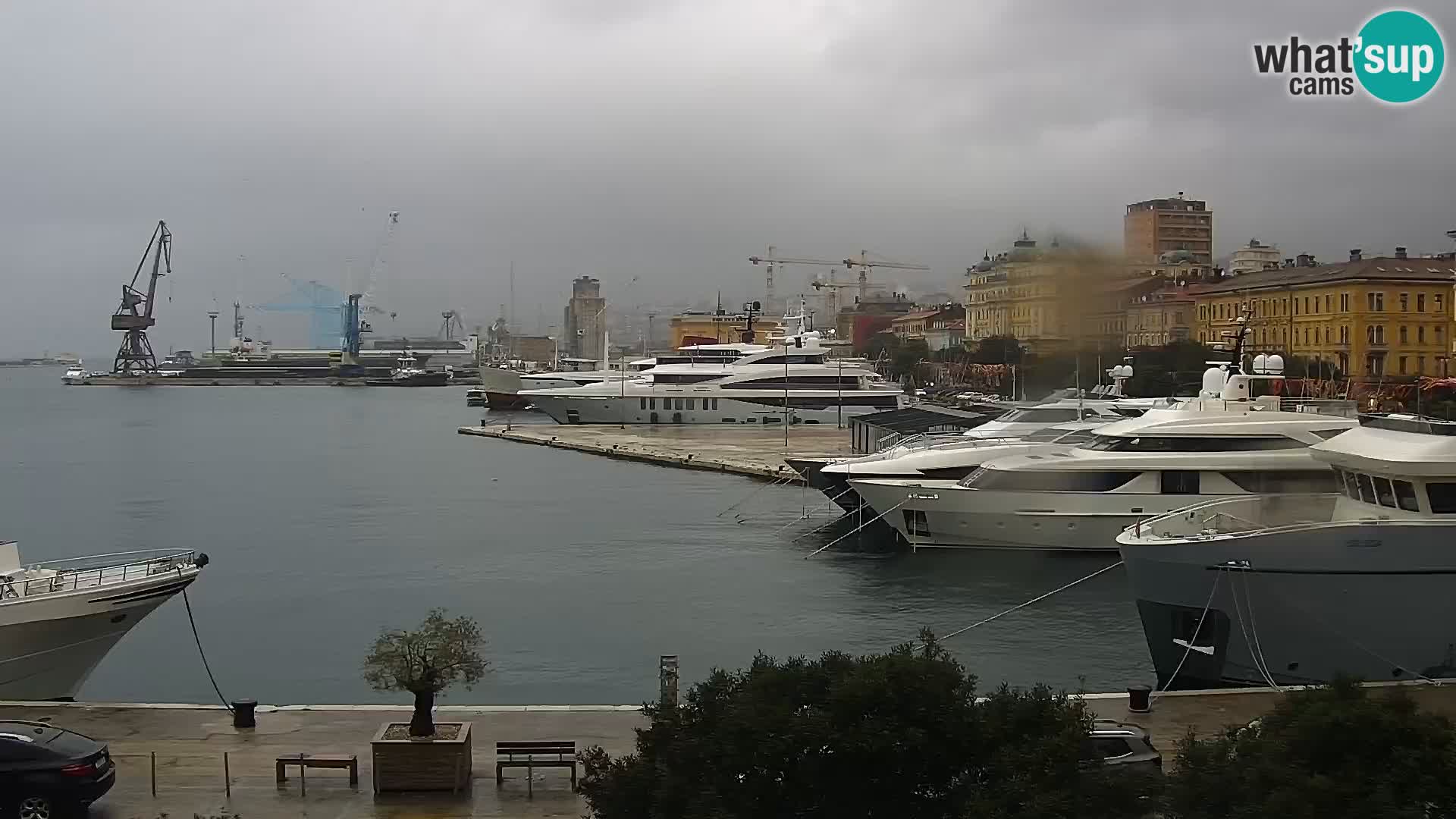 Die Riva und Marina in Rijeka – Live Webcam Kroatien