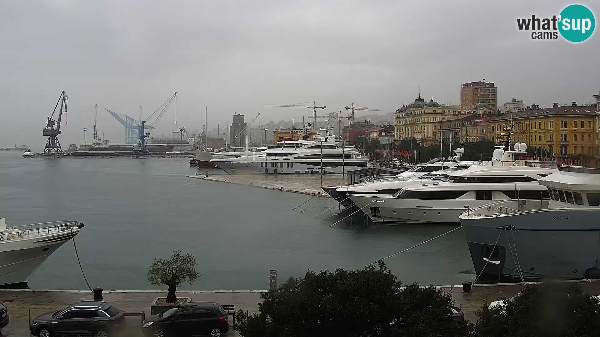 Riva i Marina u Rijeci – Web kamera uživo u Hrvatskoj