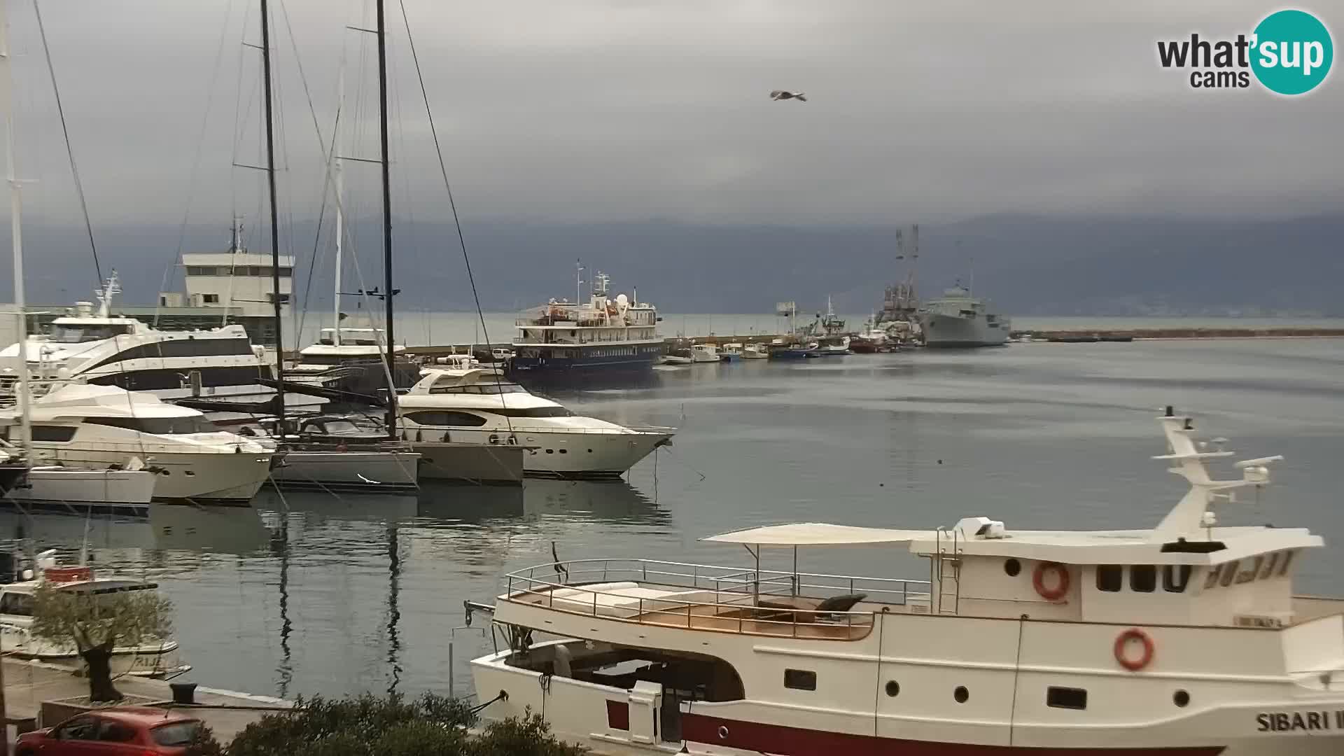 Riva i Marina u Rijeci – Web kamera uživo u Hrvatskoj