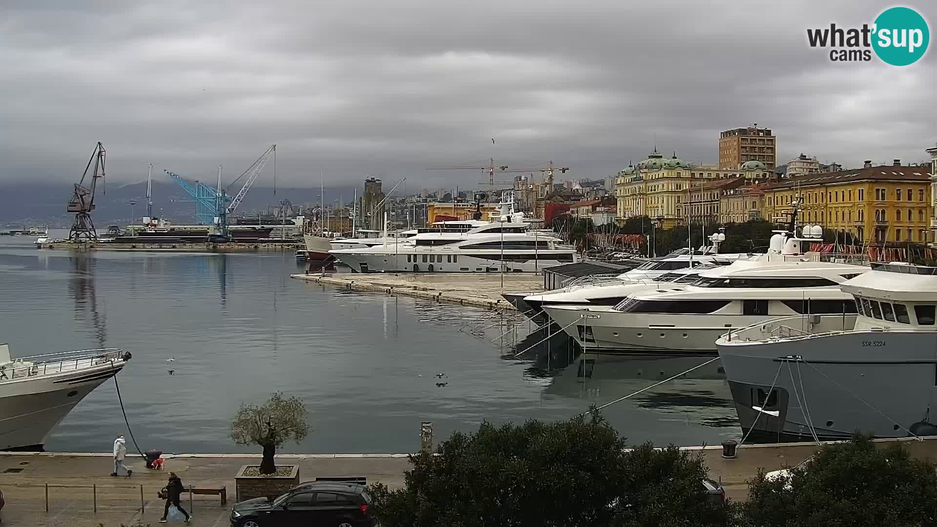 The Riva and Marina in Rijeka – Live Webcam Croatia