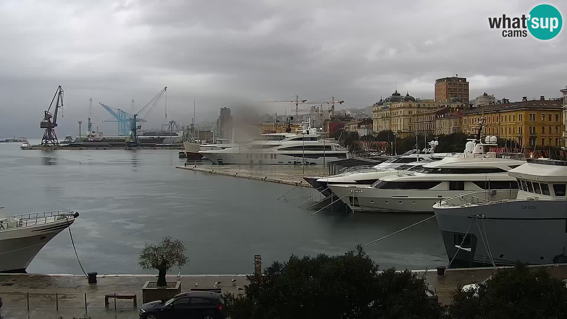 Riva i Marina u Rijeci – Web kamera uživo u Hrvatskoj