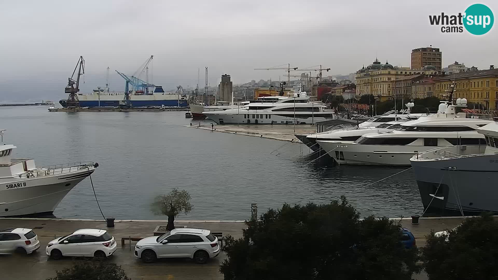 Riva i Marina u Rijeci – Web kamera uživo u Hrvatskoj