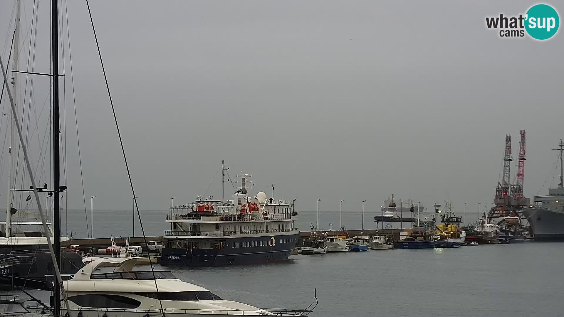 Riva i Marina u Rijeci – Web kamera uživo u Hrvatskoj