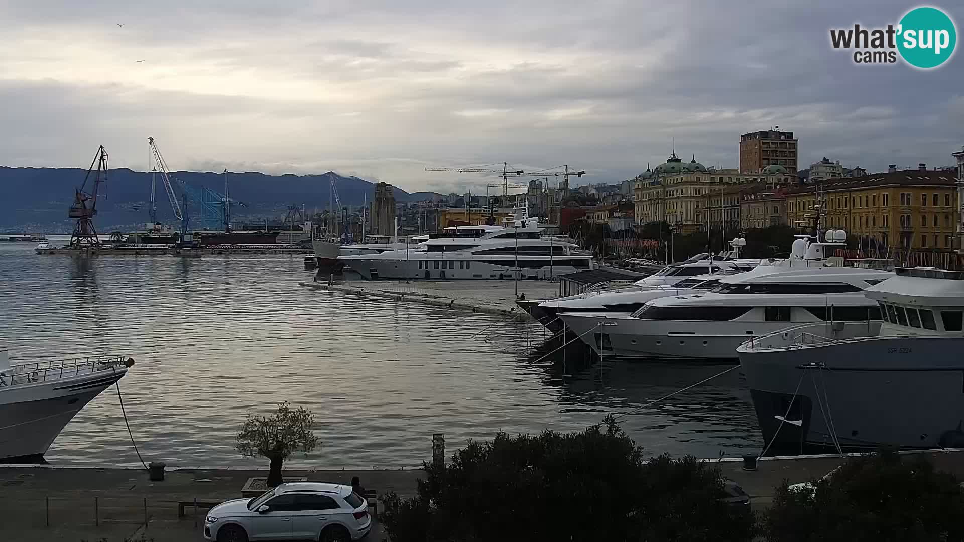 Riva i Marina u Rijeci – Web kamera uživo u Hrvatskoj