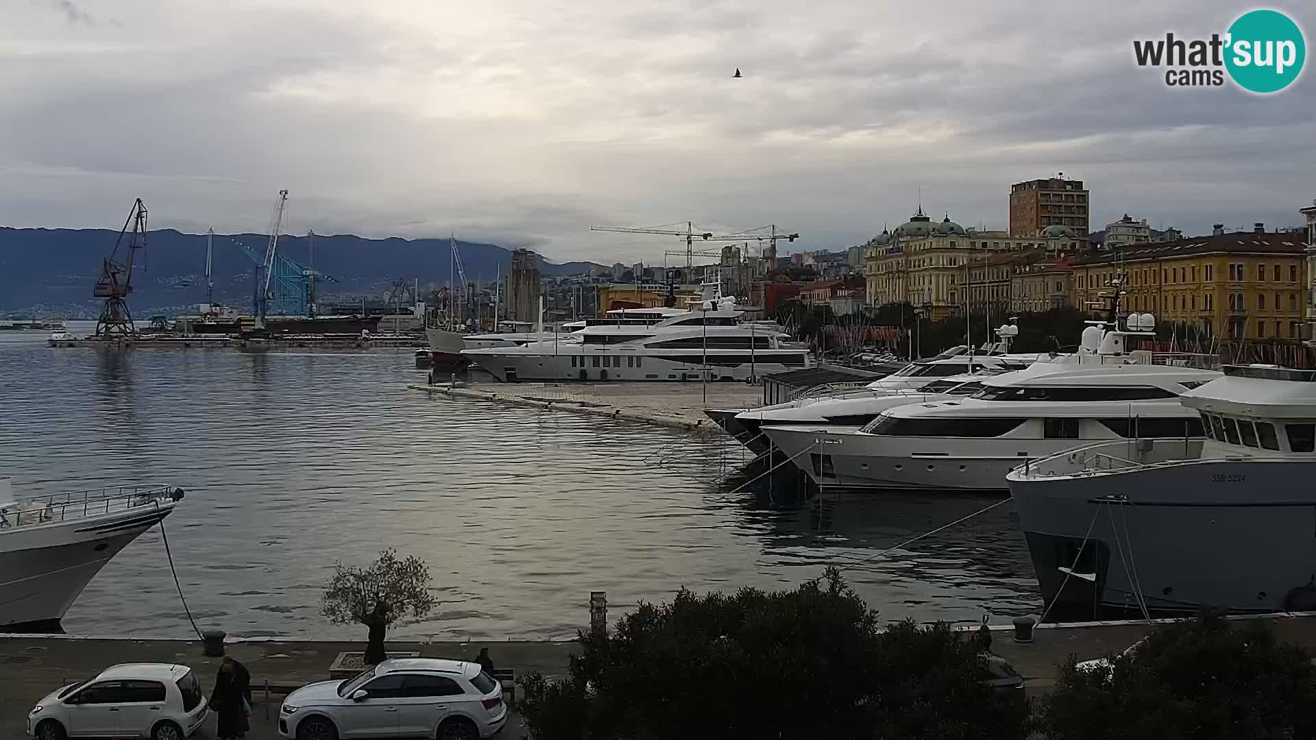 La Riva et Marina à Rijeka – Live Webcam Croatie