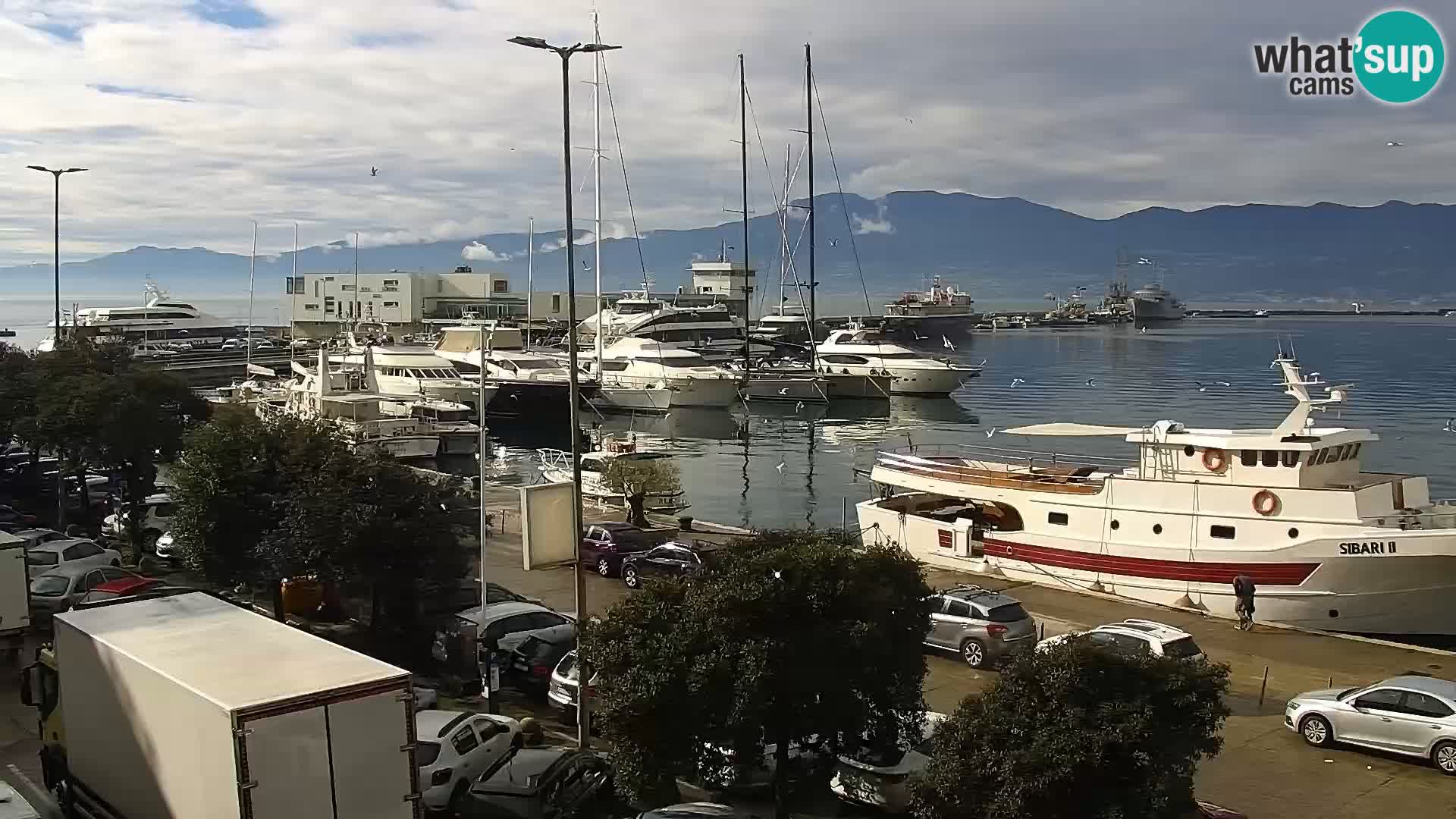 La Riva y Marina en Rijeka – Webcam en vivo Croacia