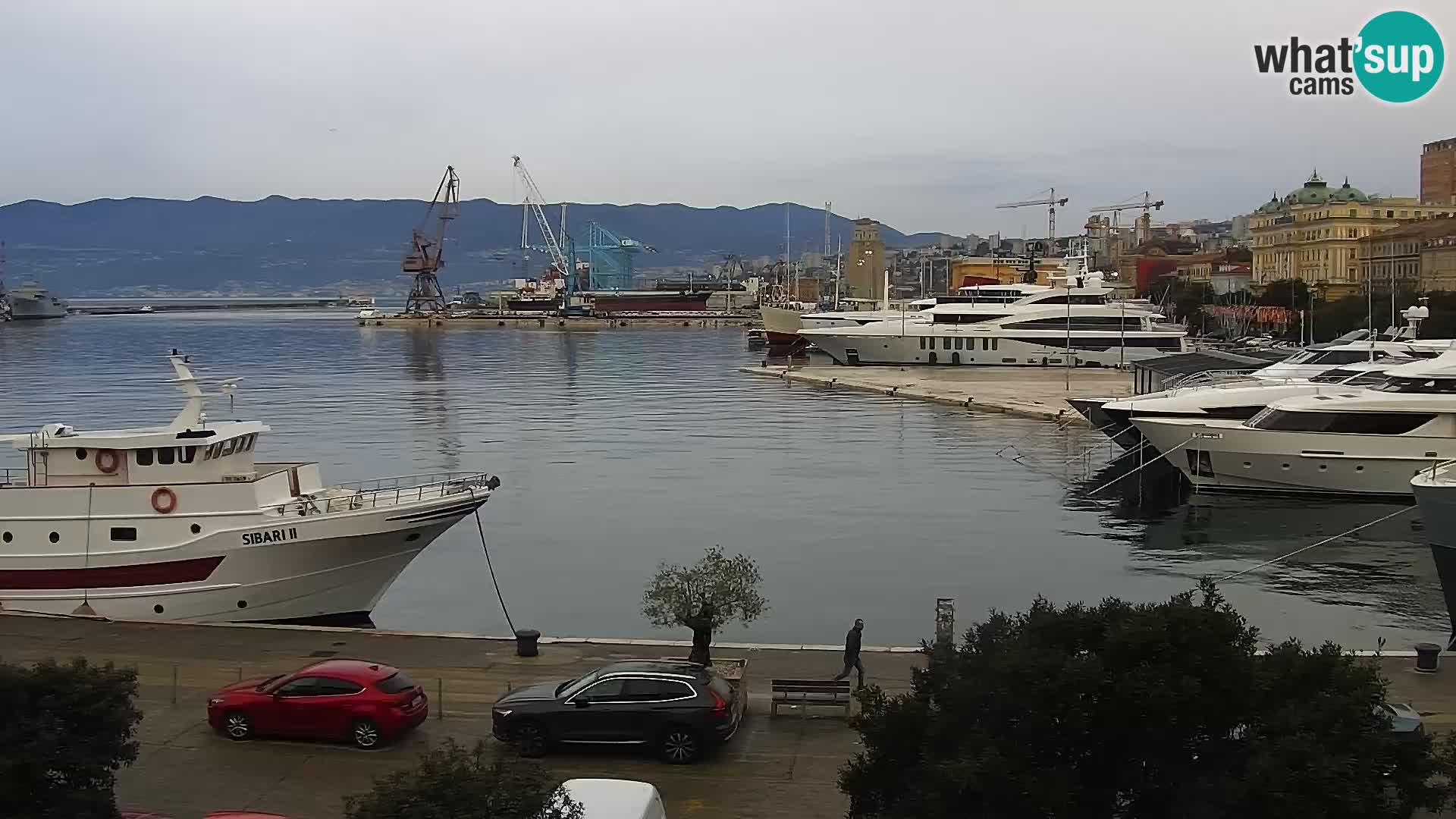 Die Riva und Marina in Rijeka – Live Webcam Kroatien