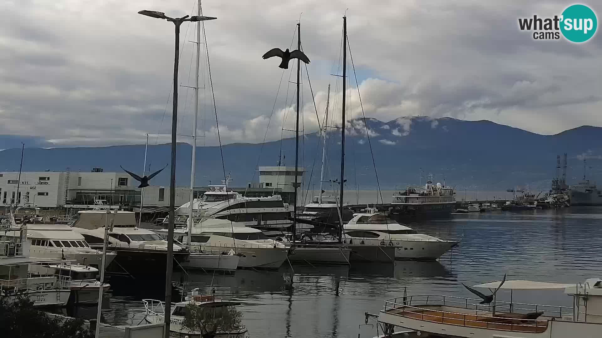 La Riva e la Marina a Rijeka (Fiume) – Live Webcam Croazia