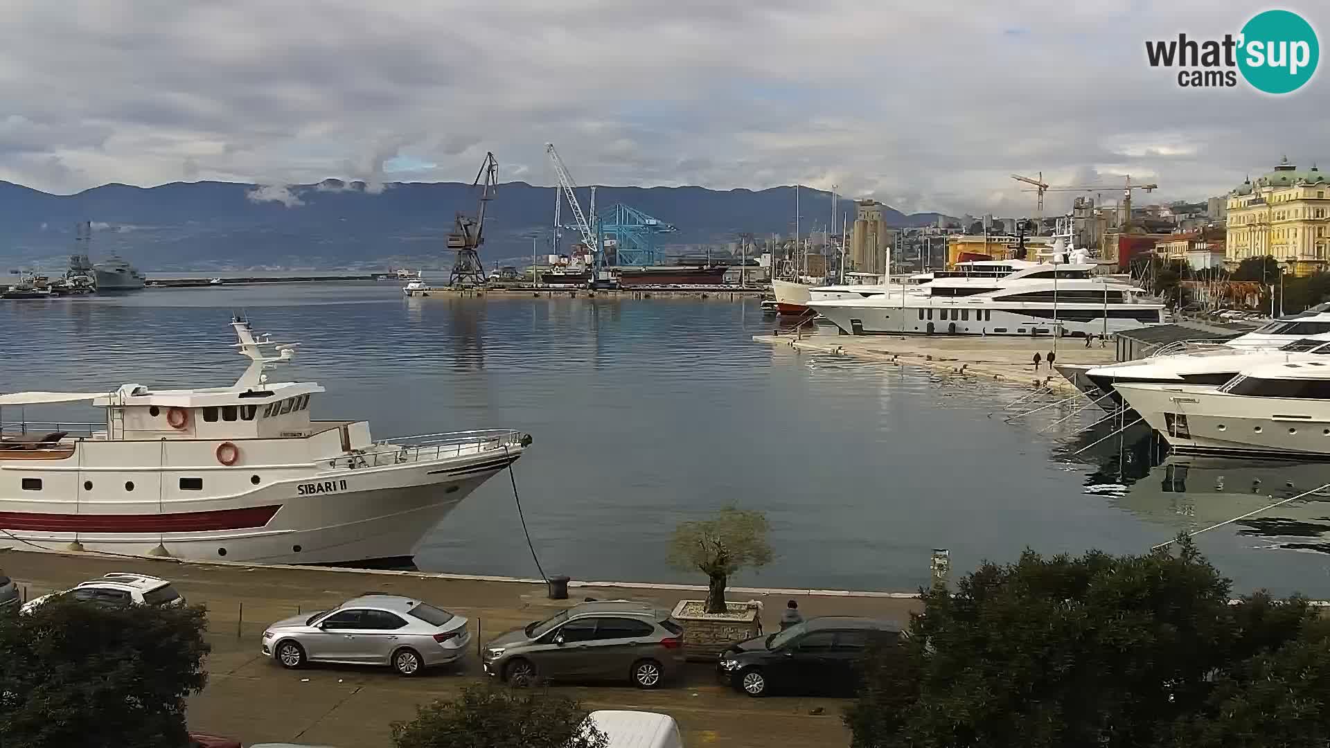 Riva i Marina u Rijeci – Web kamera uživo u Hrvatskoj