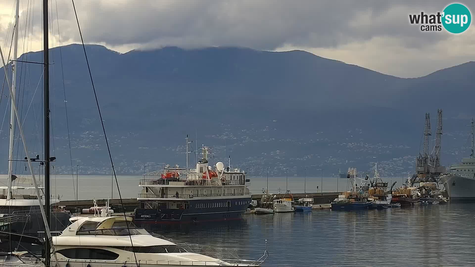 Riva i Marina u Rijeci – Web kamera uživo u Hrvatskoj