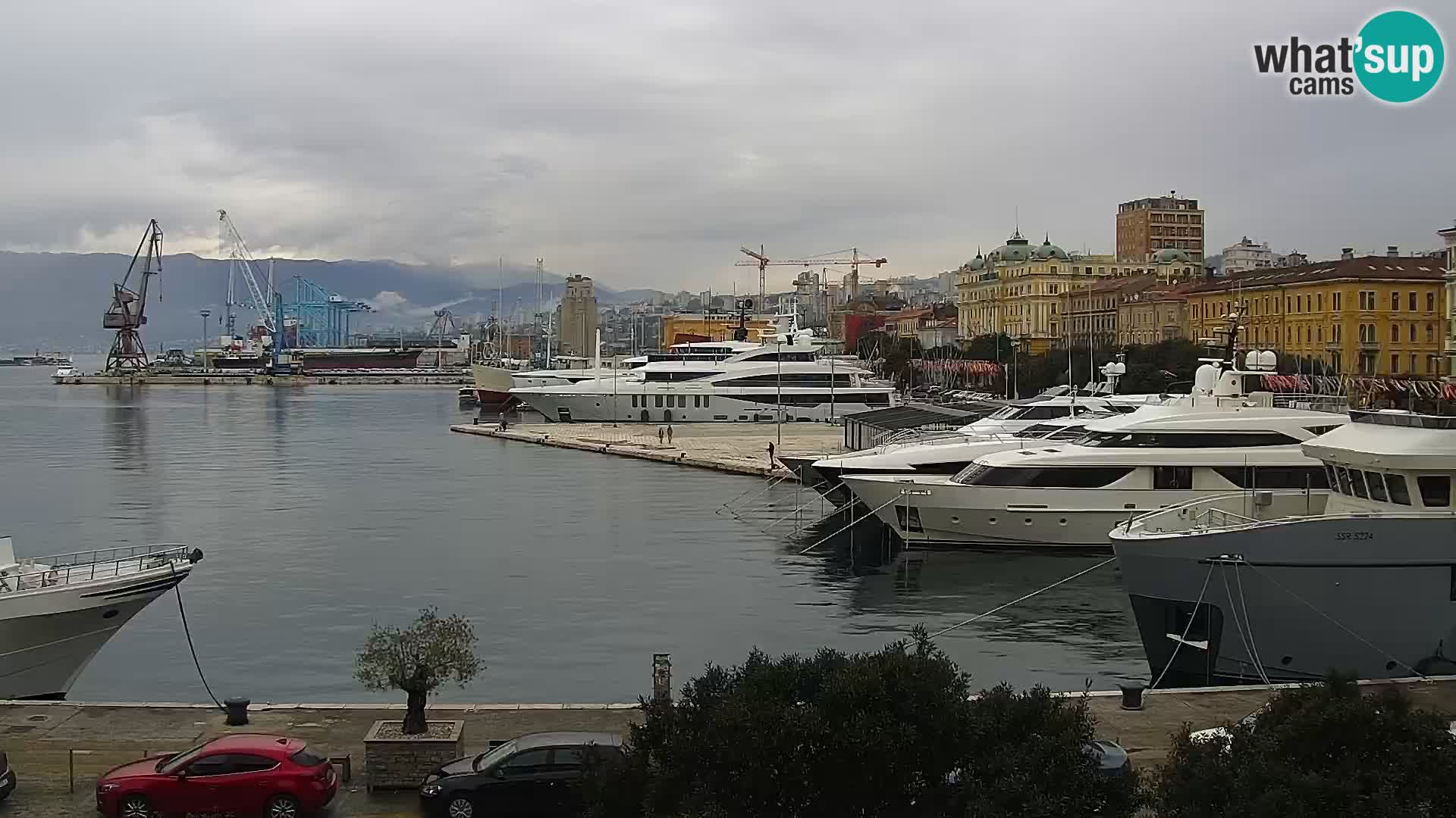 Riva i Marina u Rijeci – Web kamera uživo u Hrvatskoj