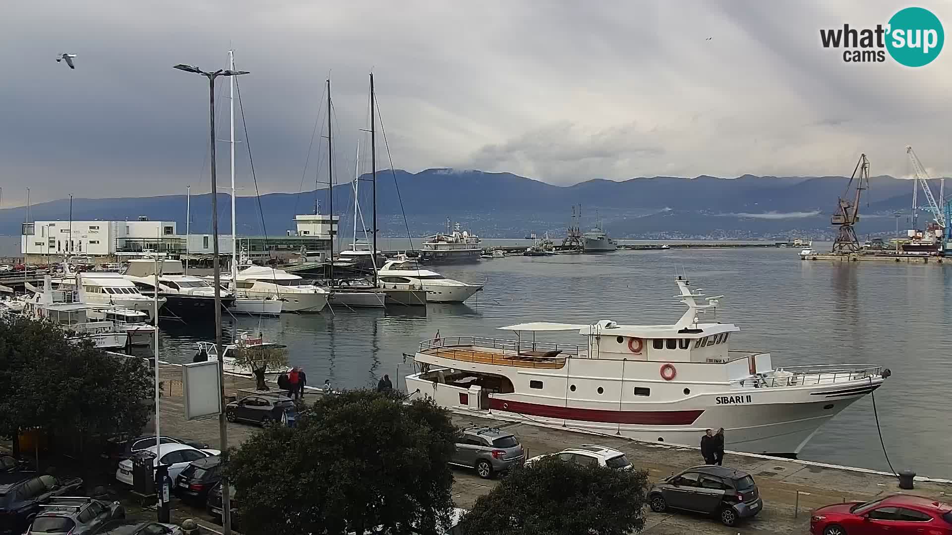 La Riva e la Marina a Rijeka (Fiume) – Live Webcam Croazia