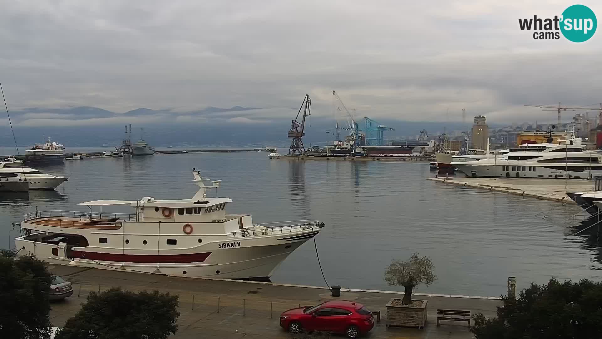 La Riva et Marina à Rijeka – Live Webcam Croatie