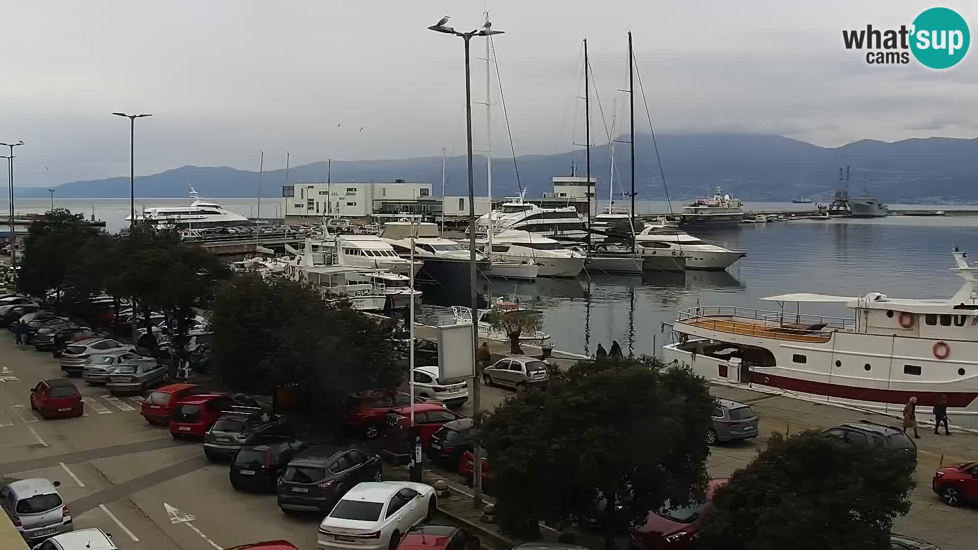 Riva in Marina v Reki – Spletna kamera v živo Hrvaška