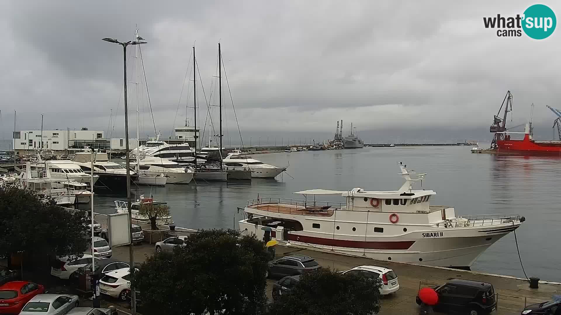 Die Riva und Marina in Rijeka – Live Webcam Kroatien