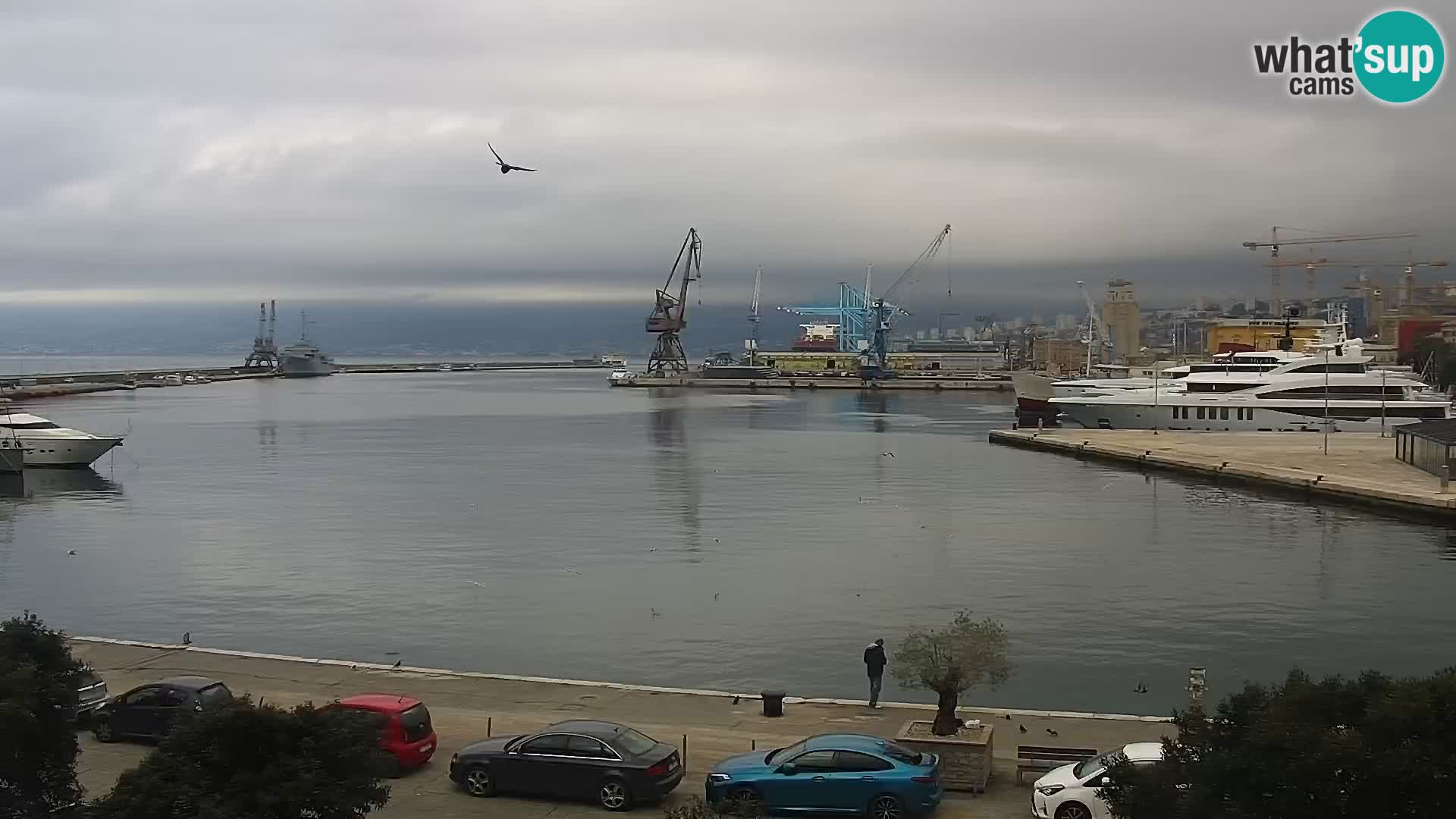 Riva in Marina v Reki – Spletna kamera v živo Hrvaška