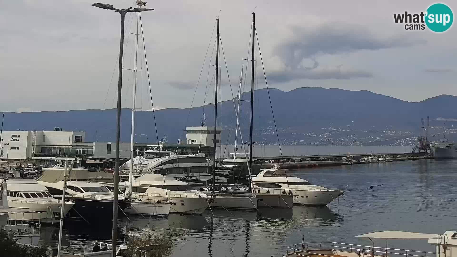 Riva in Marina v Reki – Spletna kamera v živo Hrvaška