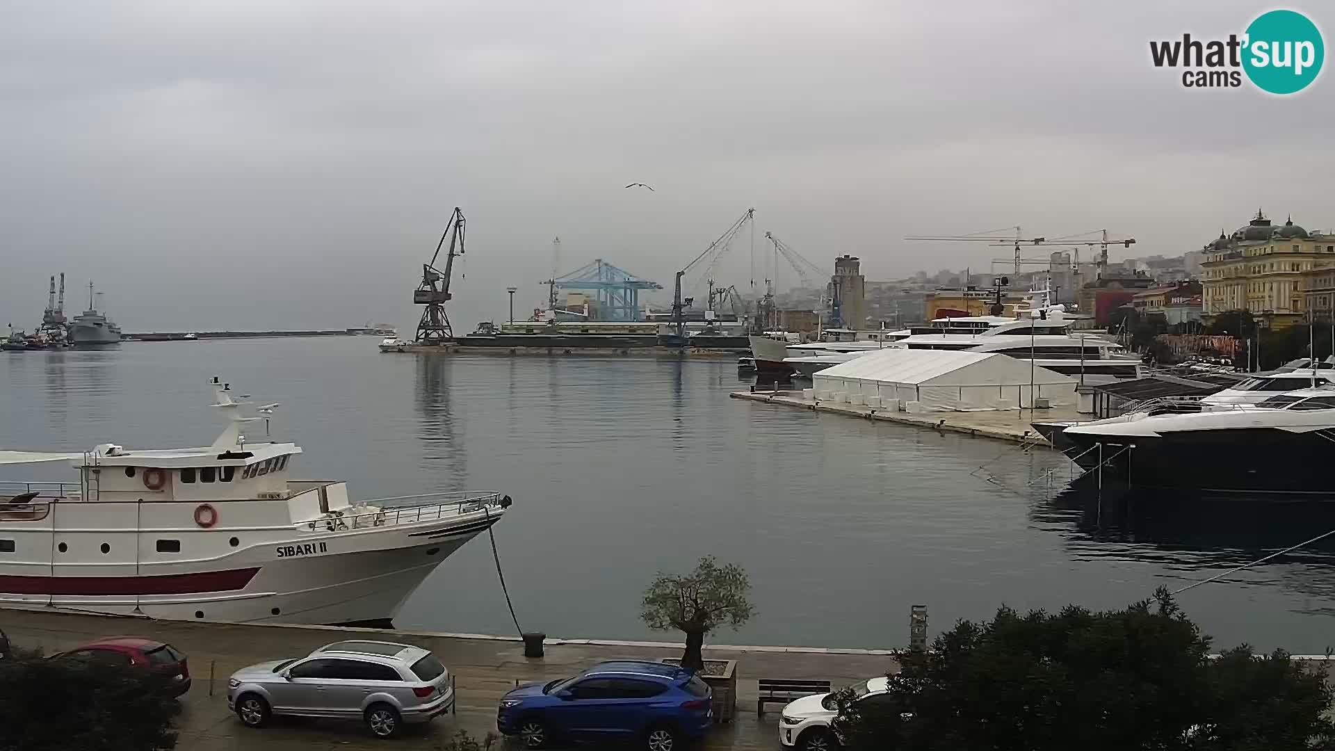 Riva i Marina u Rijeci – Web kamera uživo u Hrvatskoj